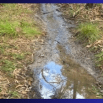 Council urges people to stay off waterlogged tracks and trails
