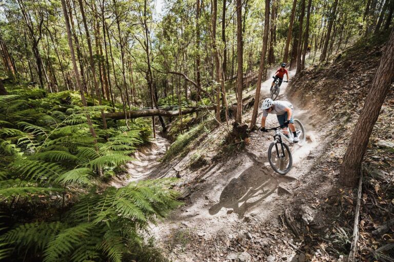 Redland City Council Takes Action to Address Safety Risks on MTB Trails