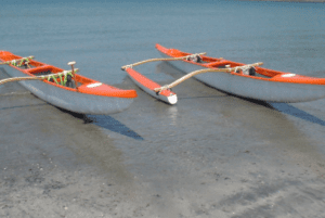 Resistance Follows Redland City Council's Controversial Directive