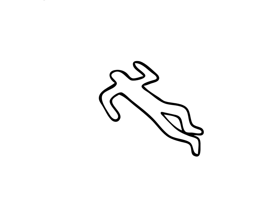 Gold Coast Councillor Pleads Not Guilty in Mother's Partner Murder Case