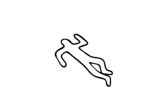 Gold Coast Councillor Pleads Not Guilty in Mother's Partner Murder Case