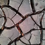 El Niño Officially Announced: Australia Faces Extended Period of Warm and Dry Weather