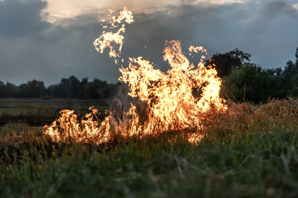 Drier Days Ahead: Urgent Call for Resident Preparedness in Bushfire and Storm Season