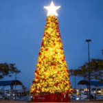 Redlands Coast Gears Up for a Joyous Christmas Celebration