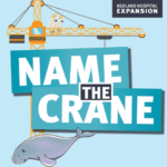 Bayside Kids Get Creative to Name Redland Hospital's Newest Crane