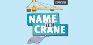 Bayside Kids Get Creative to Name Redland Hospital's Newest Crane