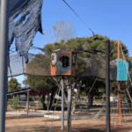 Community Collaboration Urged to Combat Vandalism in Redland City