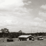 Birkdale Community Precinct's World War II Legacy