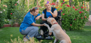 Bridging Gaps in Palliative Care for Australians