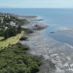 Fixing Toondah Harbour: A Holistic Approach to Development