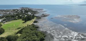 Fixing Toondah Harbour: A Holistic Approach to Development