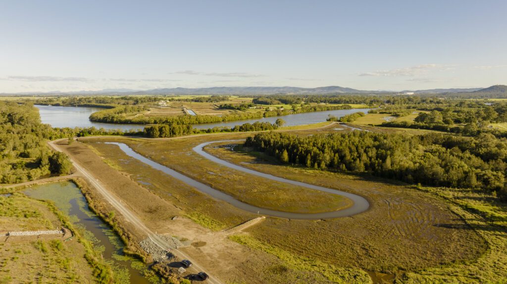 Shoreline Mangrove Wetlands