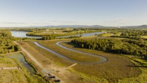 Shoreline Mangrove Wetlands