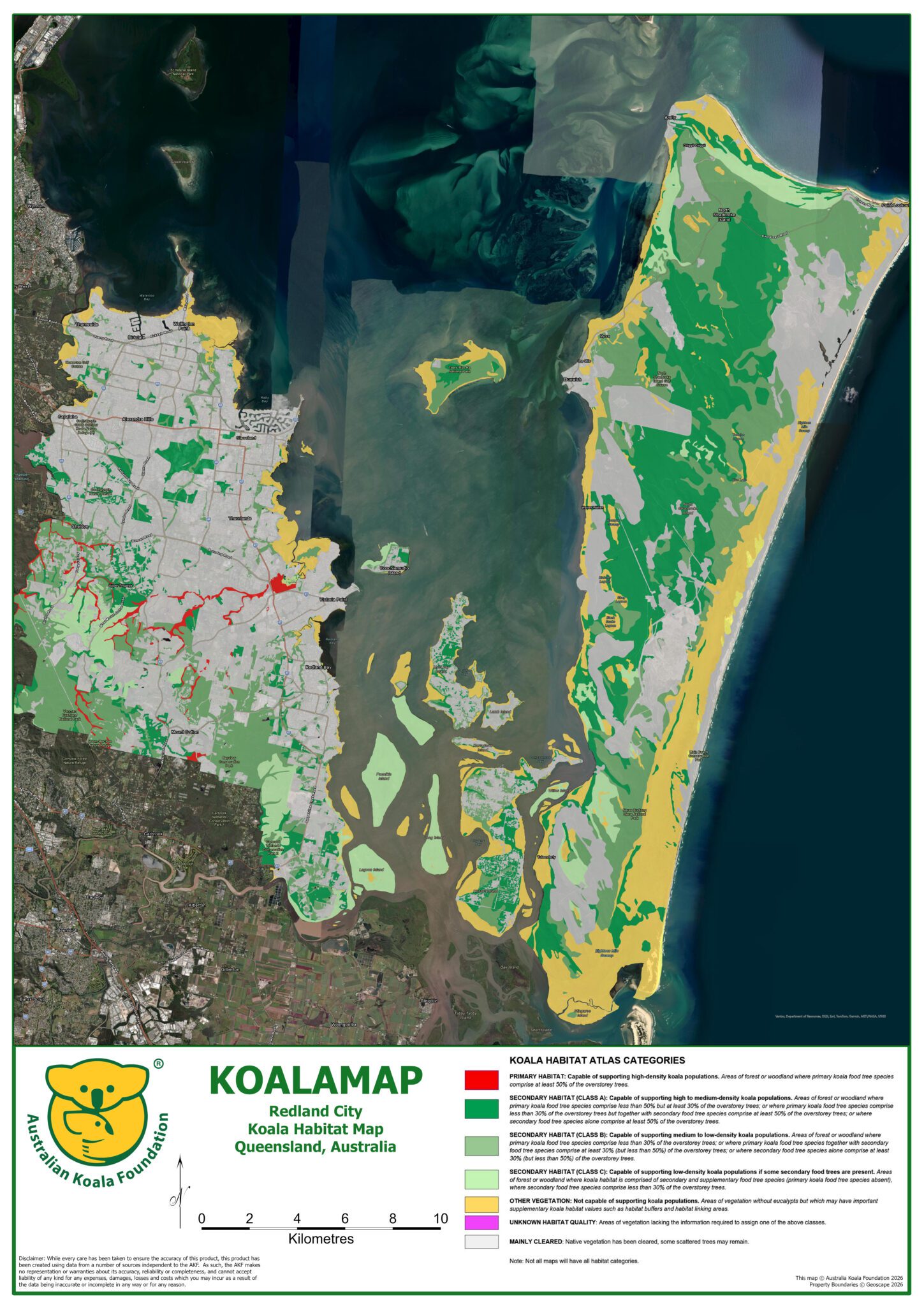 redlands-koala-numbers-stabilise-but-risks-remain
